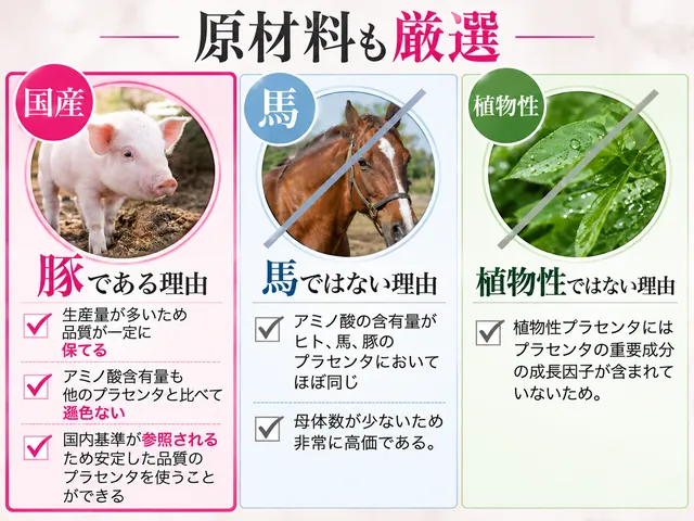 豚プラセンタ